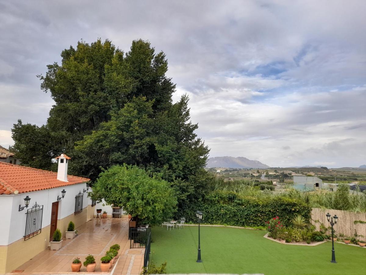 Alojamientos Rurales Villora Μούρθια Εξωτερικό φωτογραφία