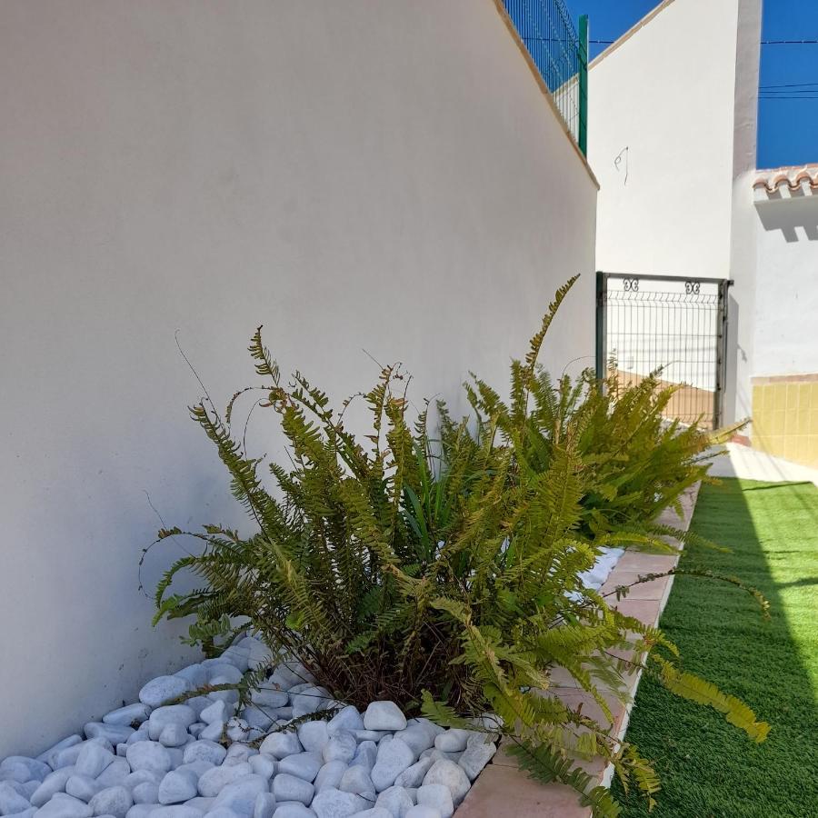 Alojamientos Rurales Villora Μούρθια Εξωτερικό φωτογραφία